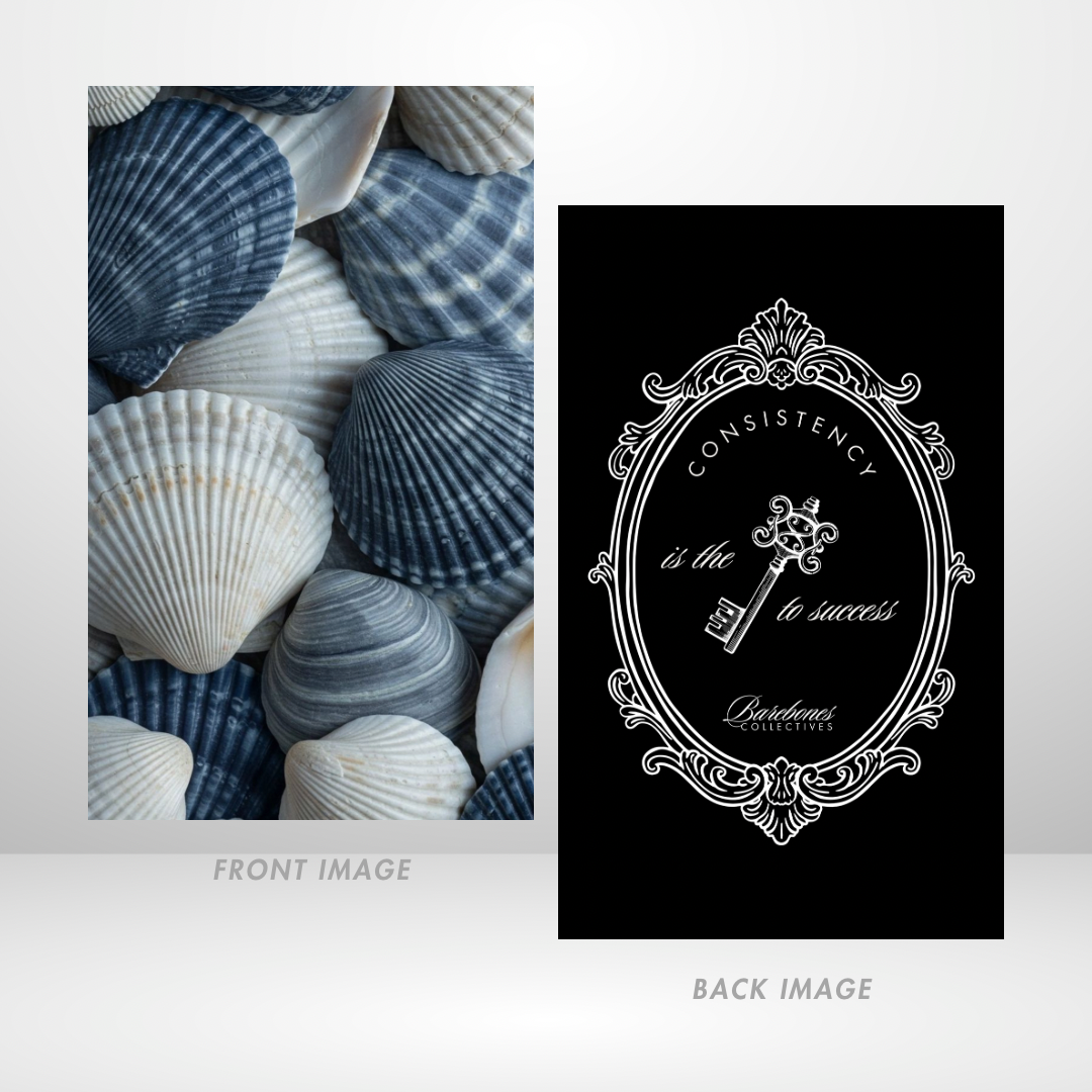 Blue Lagoon Shells Dashboard