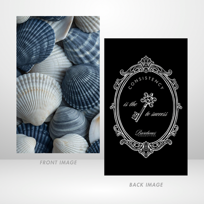 Blue Lagoon Shells Dashboard