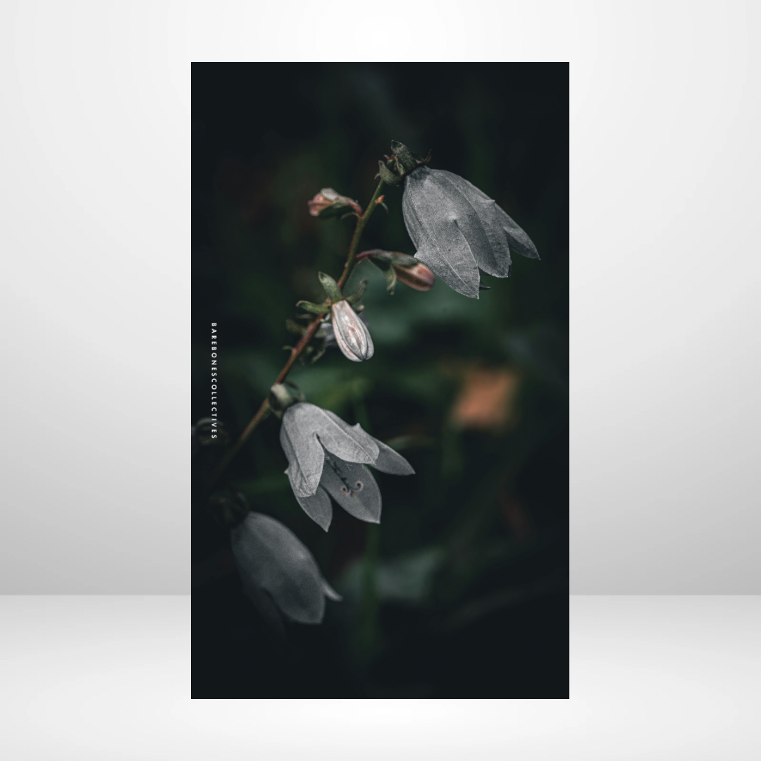 Snow Drops Soft Touch Dashboard