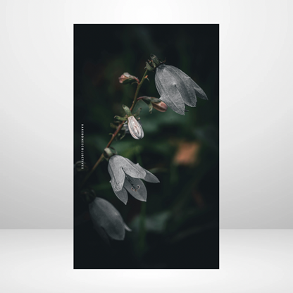 Snow Drops Soft Touch Dashboard
