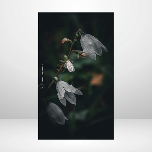 Snow Drops Soft Touch Dashboard