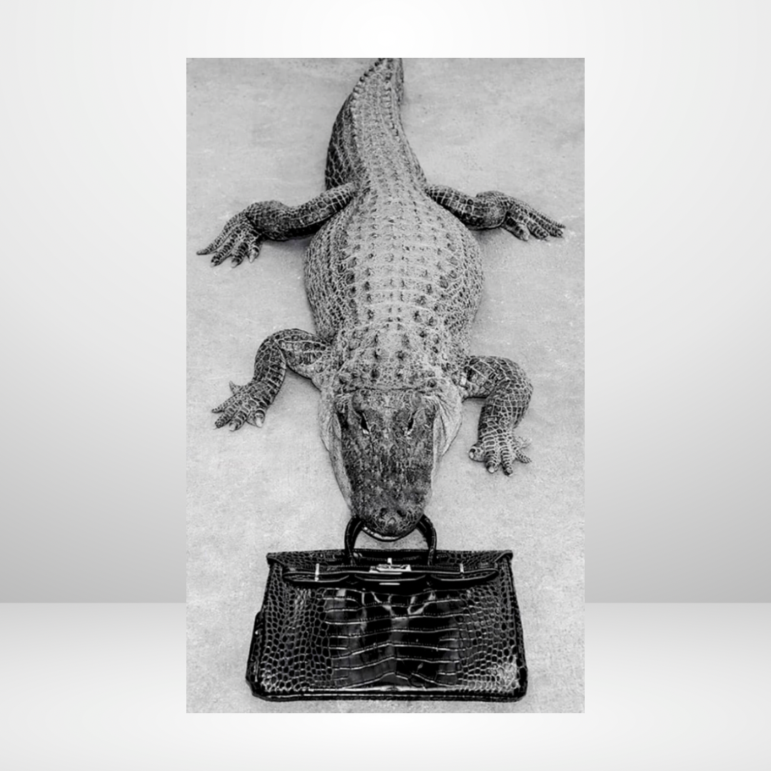 A Bag That Bites Dashboard