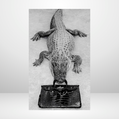 A Bag That Bites Dashboard