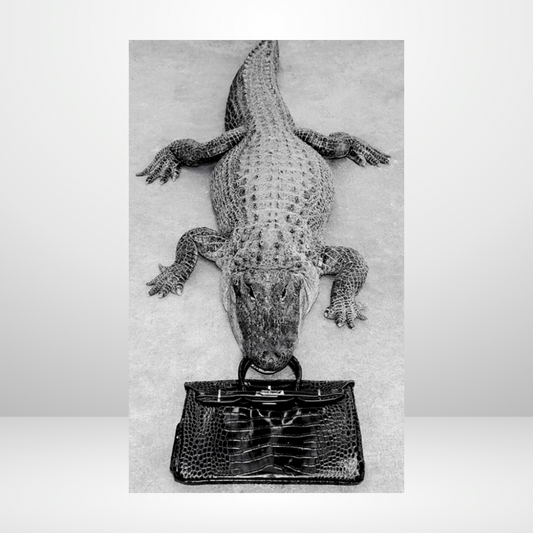 A Bag That Bites Dashboard