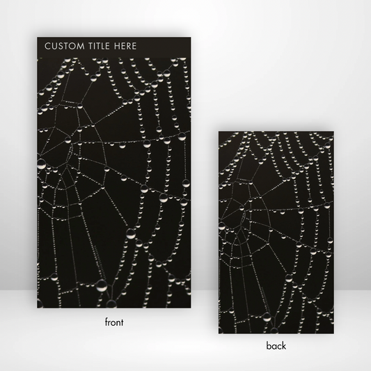 Spider Web in the Mist Full Tabbed Dashboard