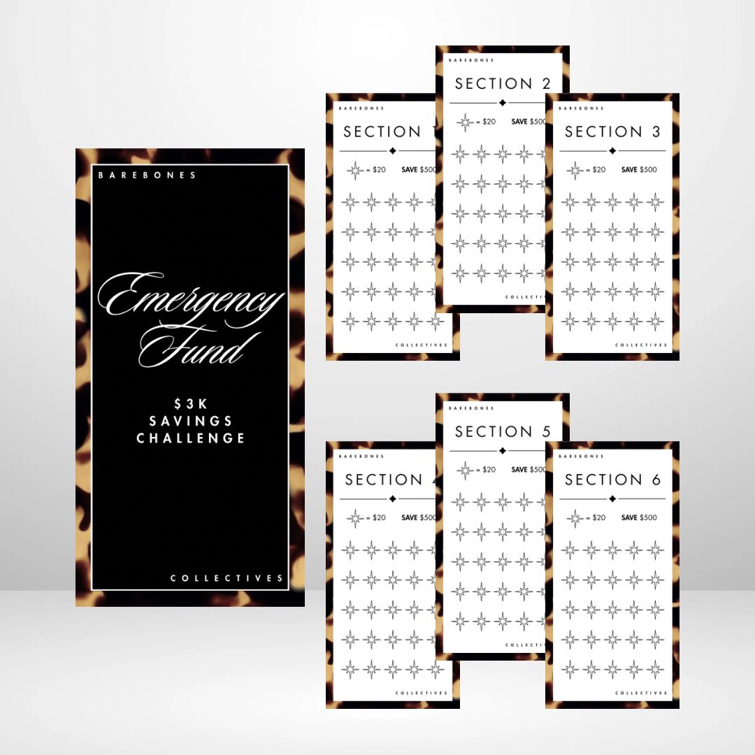 Emergency Fund $3k Brown Tortoiseshell Savings Challenge