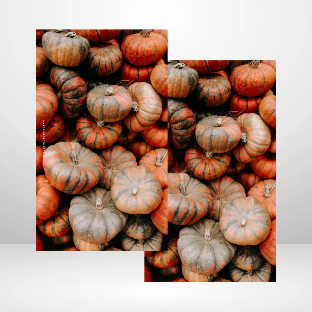 Pumpkin Patch Soft Touch Dashboard