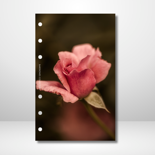 Sweet Rose Linen Dashboard