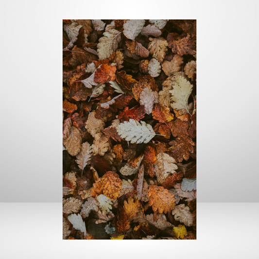 Fallen Leaves Dashboard