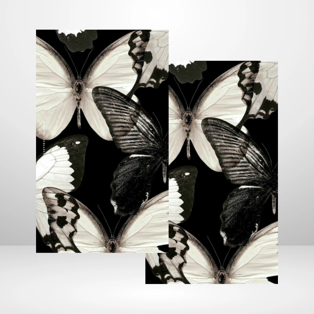 Metamorphosis Soft Touch Dashboard