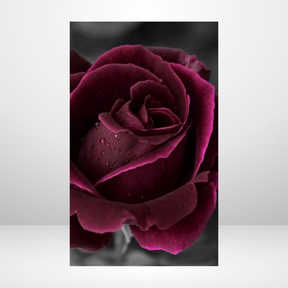 Forbidden Rose Dashboard