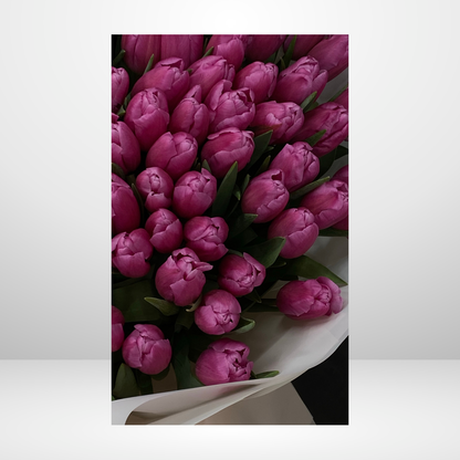 Spring Tulips Dashboard