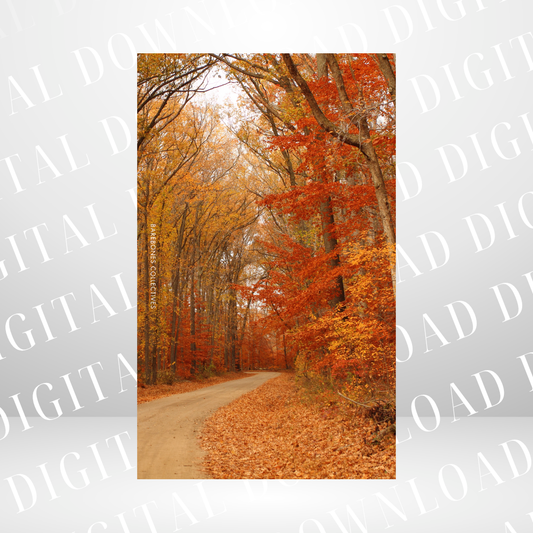 #9 Halloween Spooky - Personal Size Dashboard DIGITAL DOWNLOAD