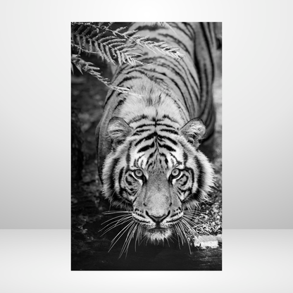 Eye of the Tiger Dashboard