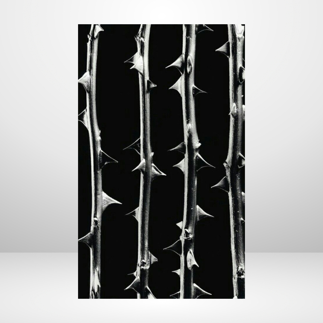 Sharp As A Thorn Dashboard