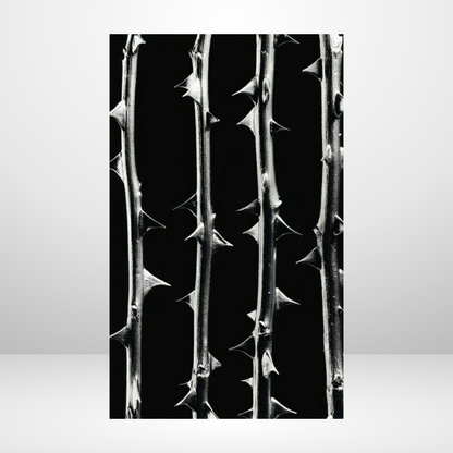 Sharp As A Thorn Dashboard