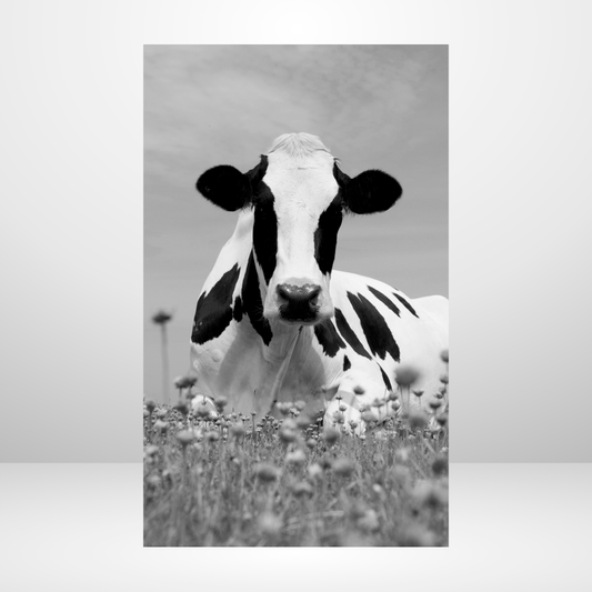 In the Field Dashboard