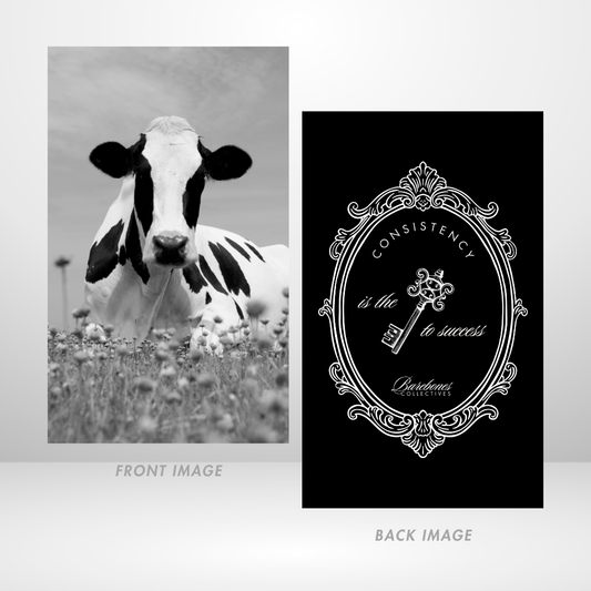 In the Field Dashboard