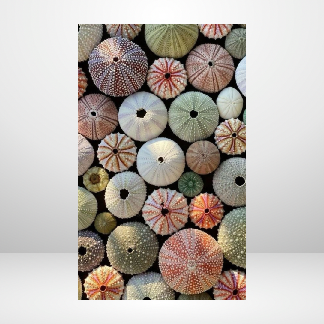 Colors Of The Sea Dashboard