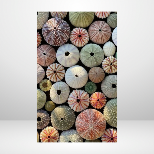 Colors Of The Sea Dashboard