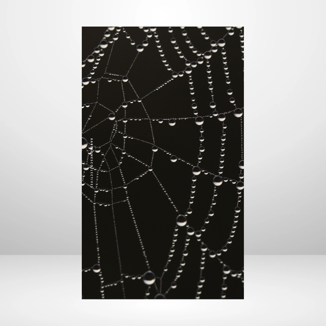 Spider Web Soft Touch Dashboard