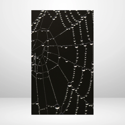 Spider Web Soft Touch Dashboard