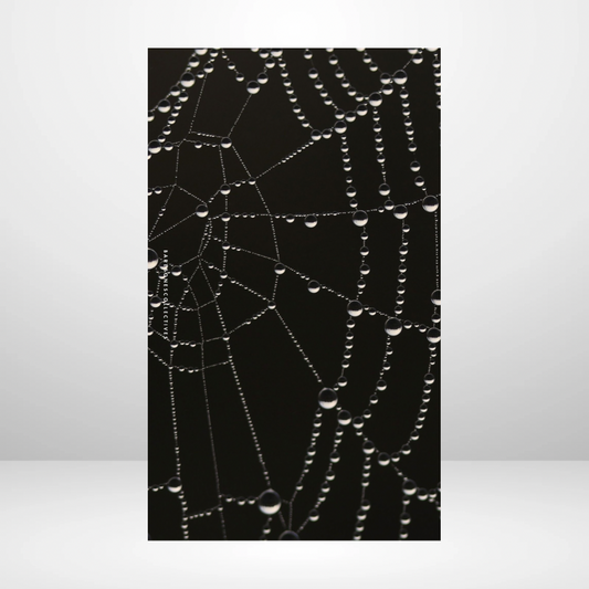 Spider Web Soft Touch Dashboard