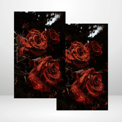 Forbidden Rose Soft Touch Dashboard