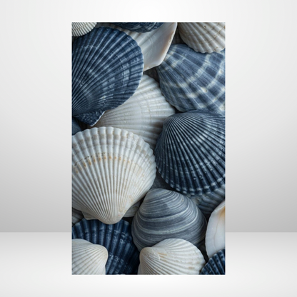 Blue Lagoon Shells Dashboard
