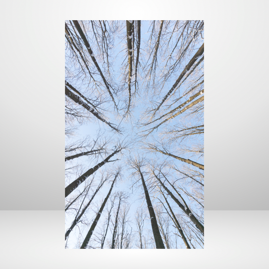 Cold Blue Skies Dashboard