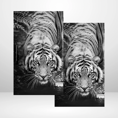 Hear me Roar Soft Touch Dashboard
