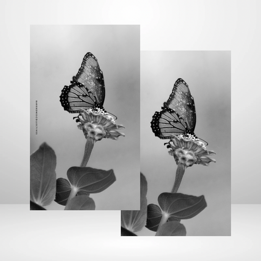 Baby Butterfly Soft Touch Dashboard