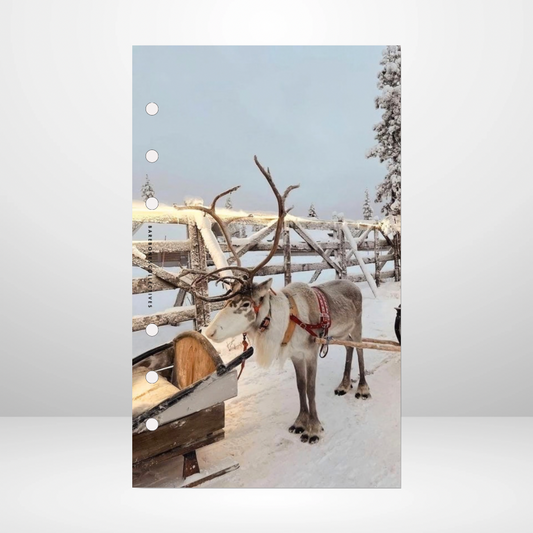 The North Pole Dashboard
