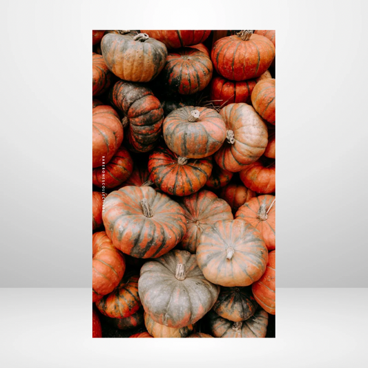 Pumpkin Patch Soft Touch Dashboard