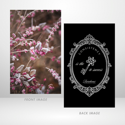 Pink Frost Bite Dashboard