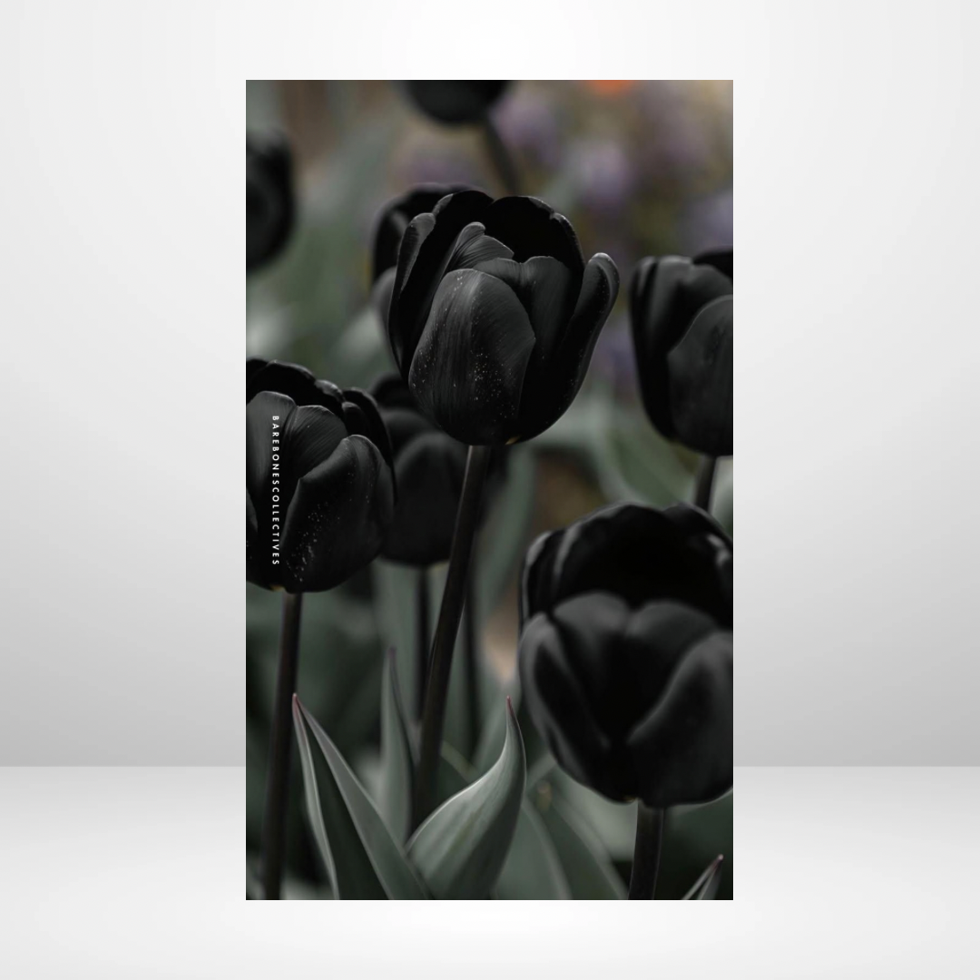 Black Tulips Soft Touch Dashboard