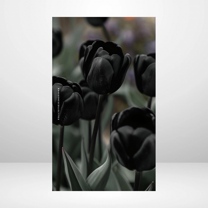 Black Tulips Soft Touch Dashboard