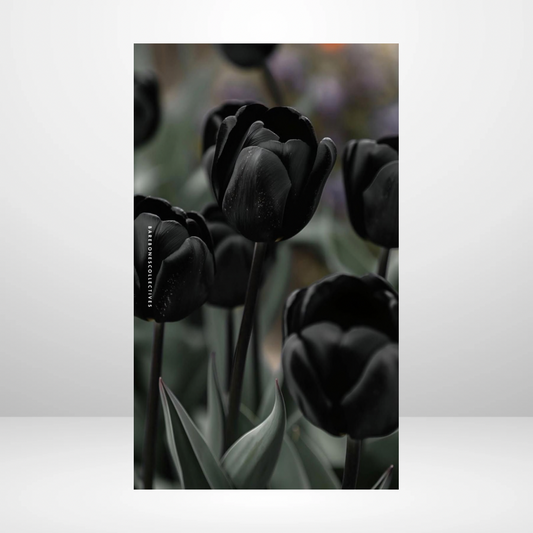 Black Tulips Soft Touch Dashboard