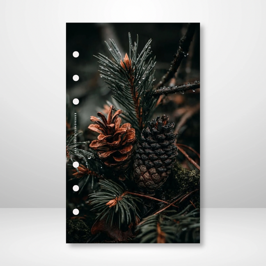 Evergreen Dashboard