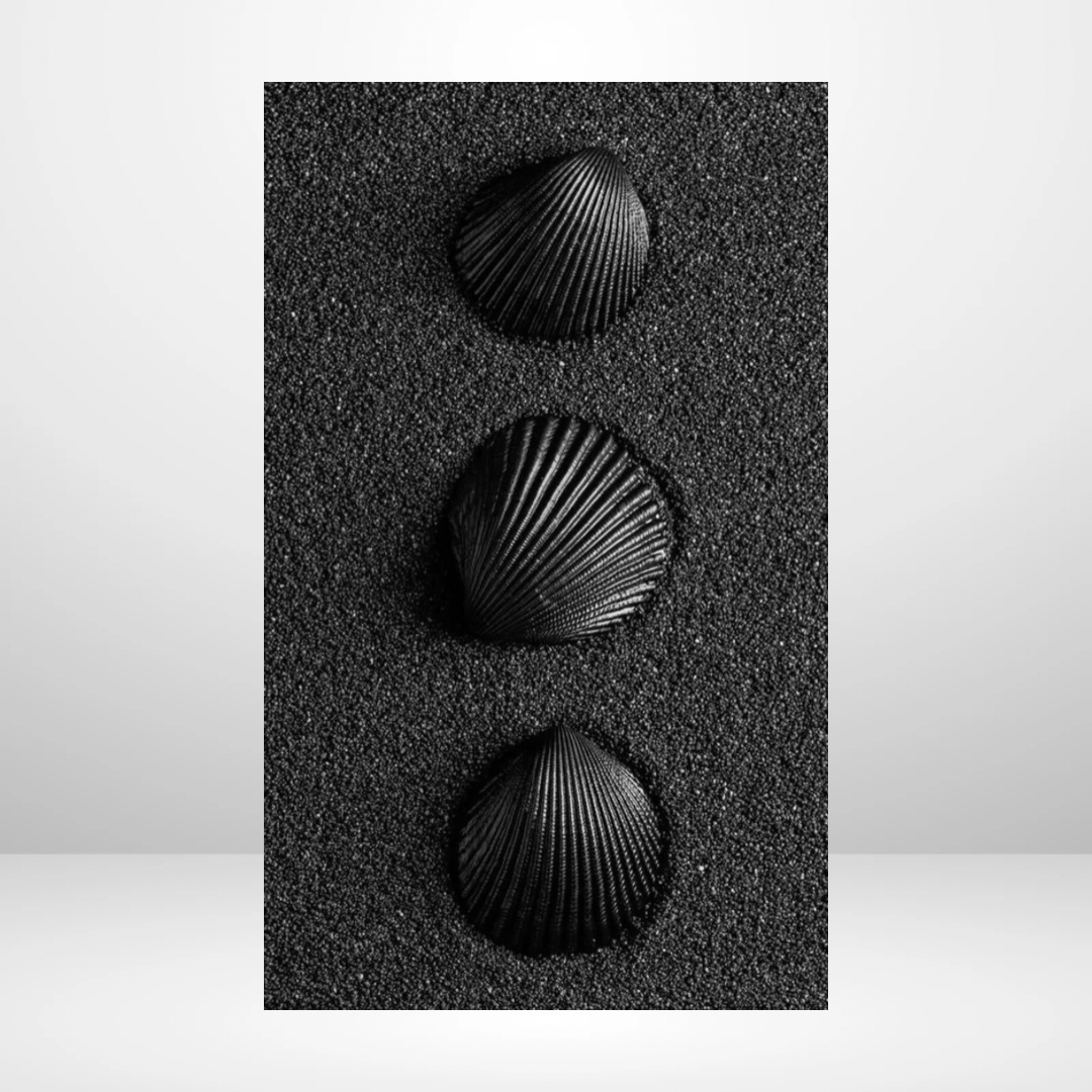 Black Sand Dashboard