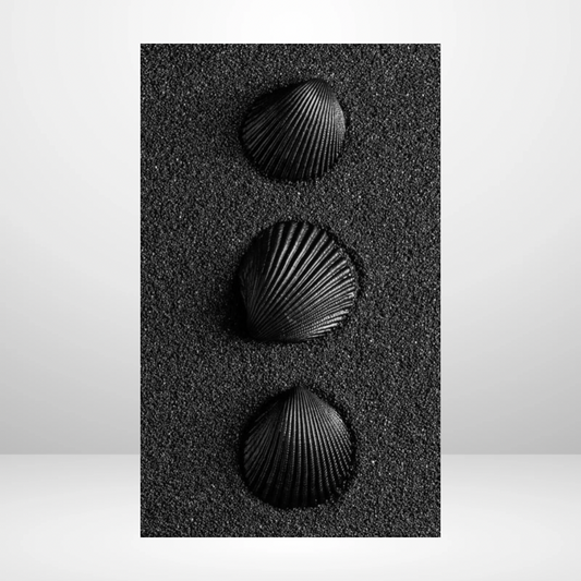 Black Sand Dashboard