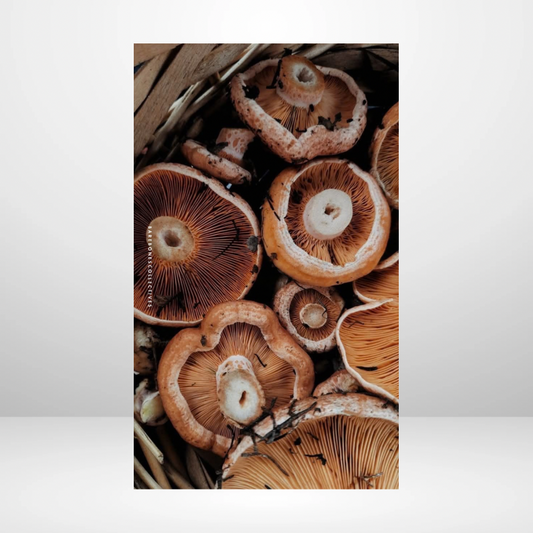Autumn Mushrooms Soft Touch Dashboard