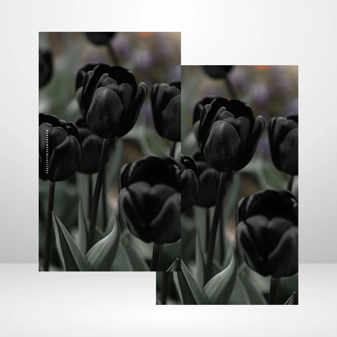 Black Tulips Soft Touch Dashboard