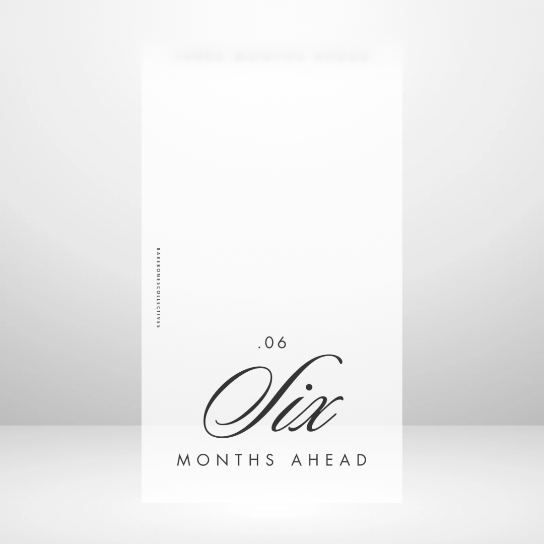 One - Six Months Ahead Full Top Tabbed Frosted Matte Dashboards