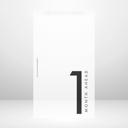 One - Six Months Ahead Full Top Tabbed Frosted Matte Dashboards